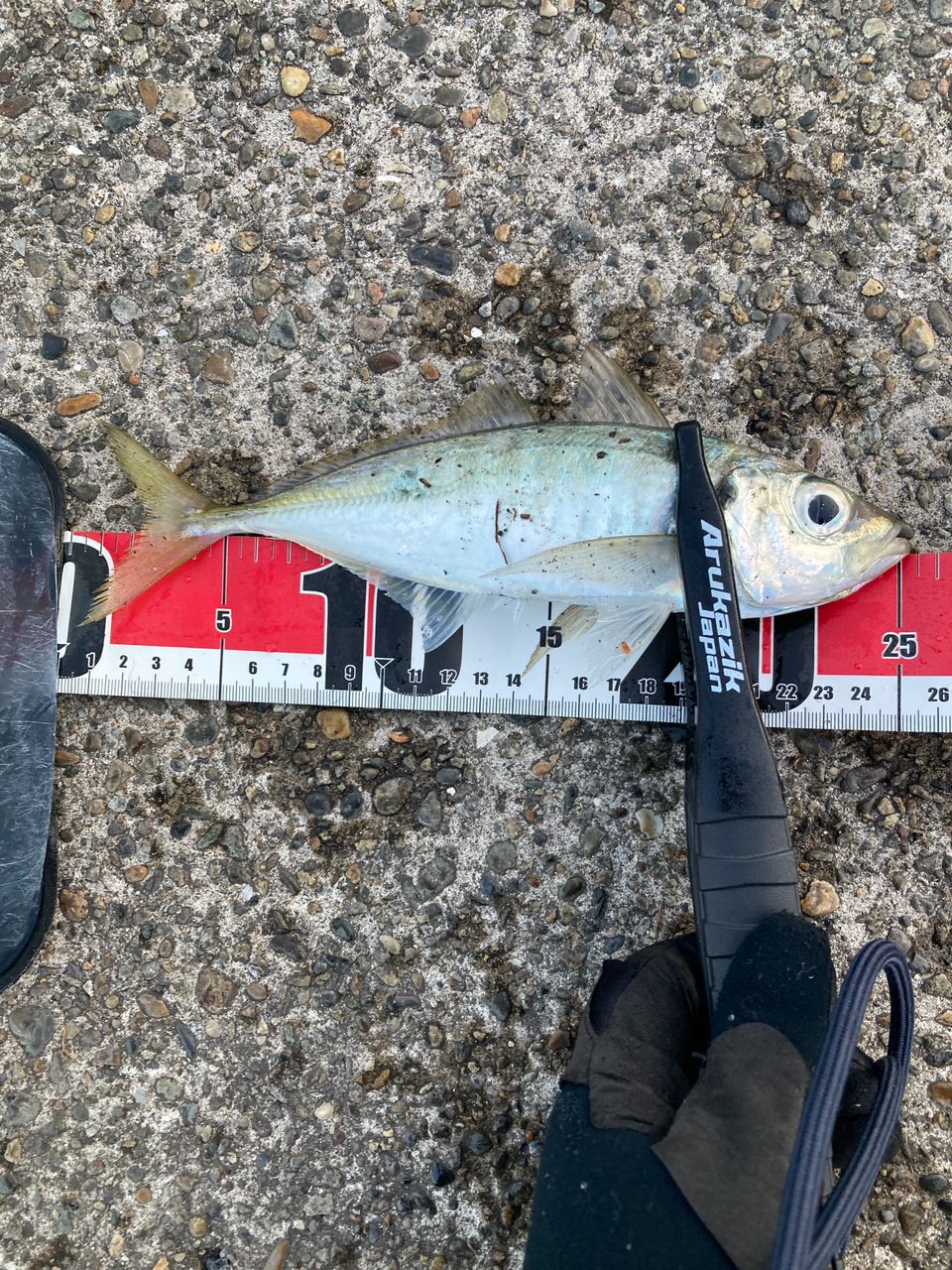 Gamakatsu ラグゼ 宵姫 華 弍 S54AL-solidの最安値・インプレ・釣果