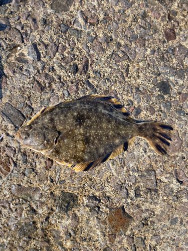 小樽港厩町岸壁