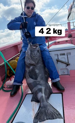 アブラボウズの釣果