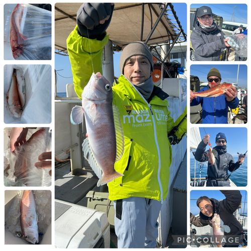 シロアマダイの釣果