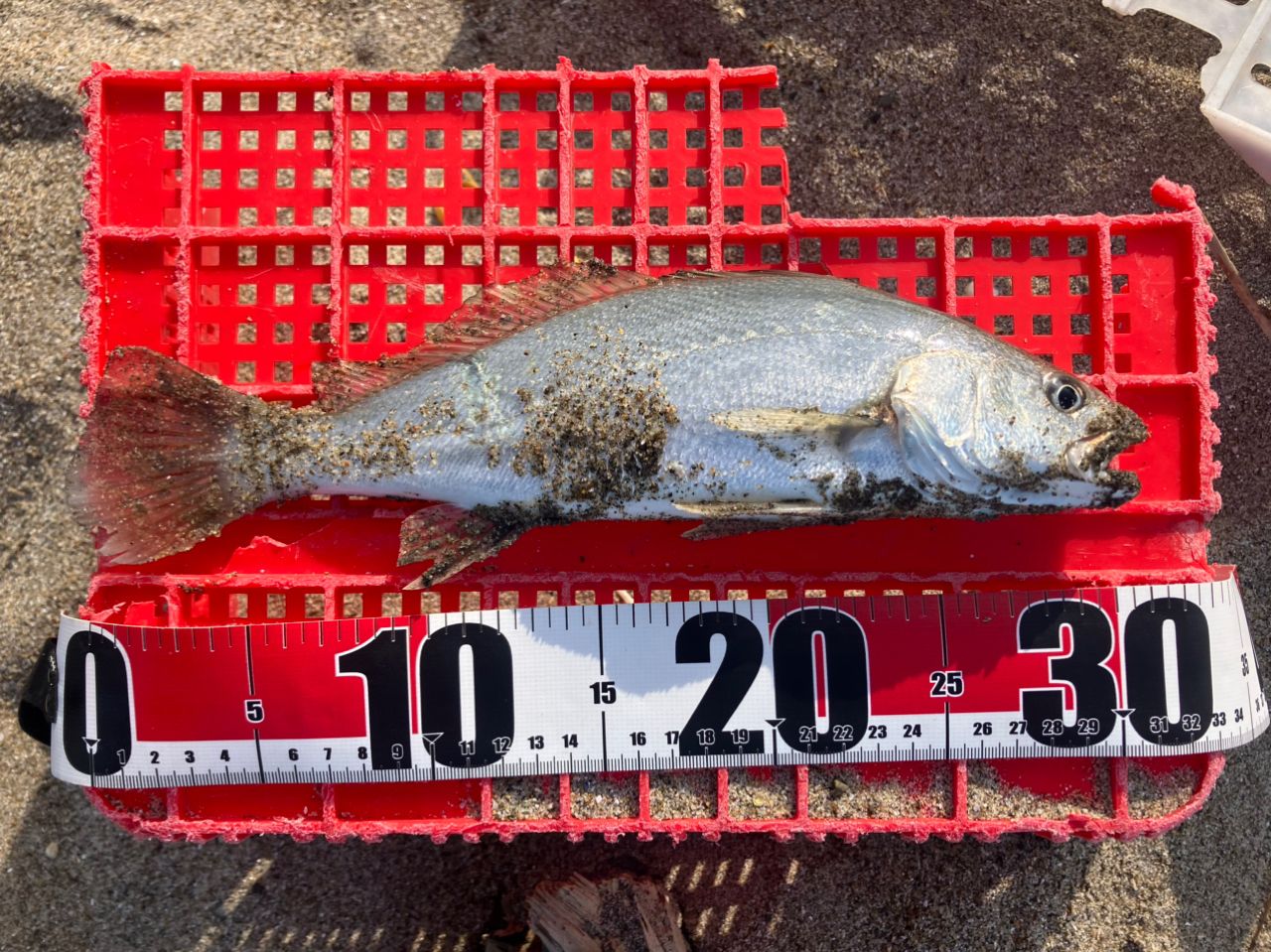 DAIWA 20オーバーゼア 109MHの最安値・インプレ・釣果 | 本音の口コミ