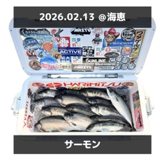 トラウトの釣果