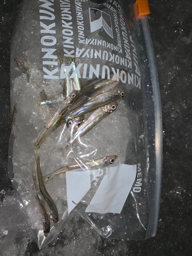 つがる市野池群