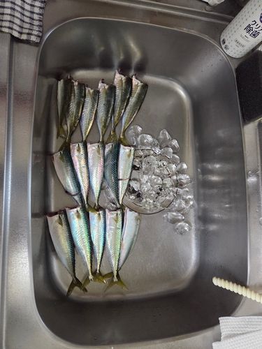 関門海峡（山口）