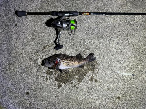 三陸海岸（岩手）