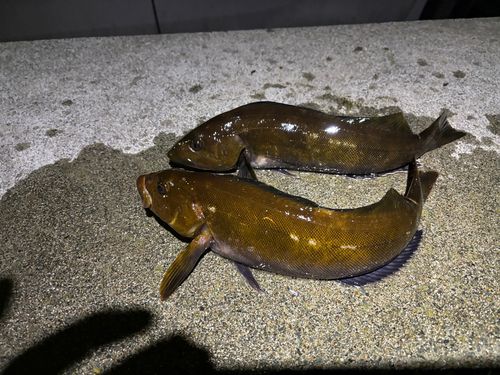 三陸海岸（青森）