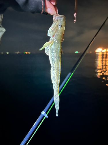 千葉港中央埠頭