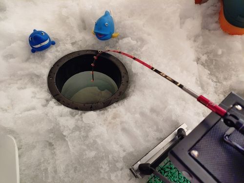 ワカサギの釣果