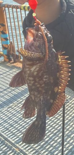 磯子海づり施設