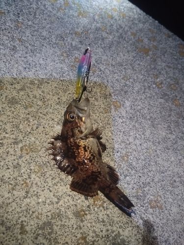 三陸海岸（岩手）