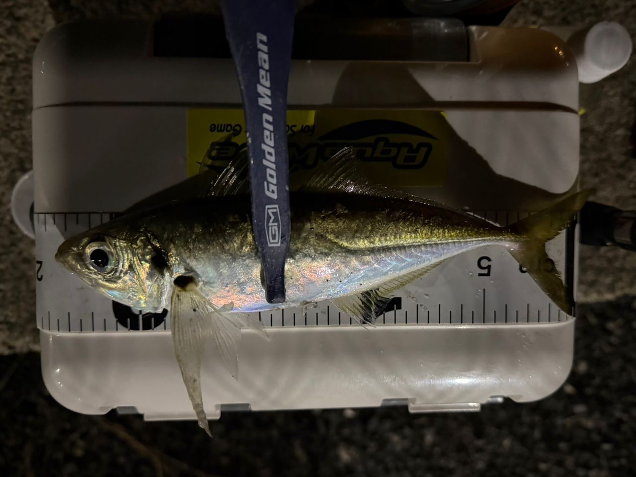 AbuGarcia ソルティーステージ プロトタイプ アジング XAJS-5102LSSの