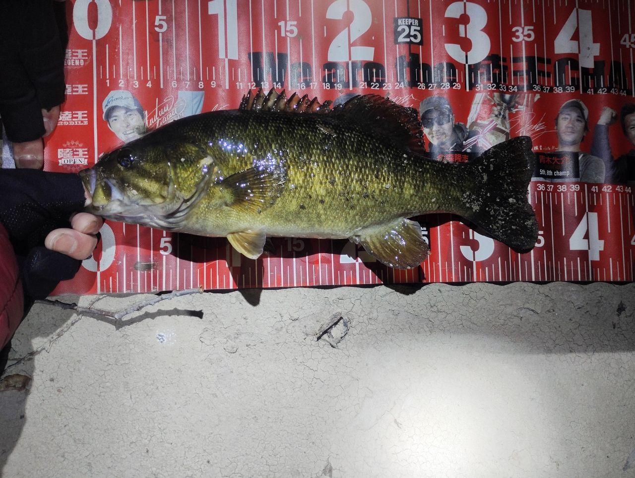 スモールマウスバス