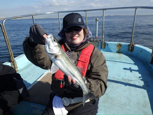 東京湾（アクアライン〜富津）