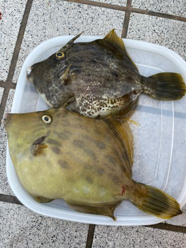 ベイサイドビーチ坂