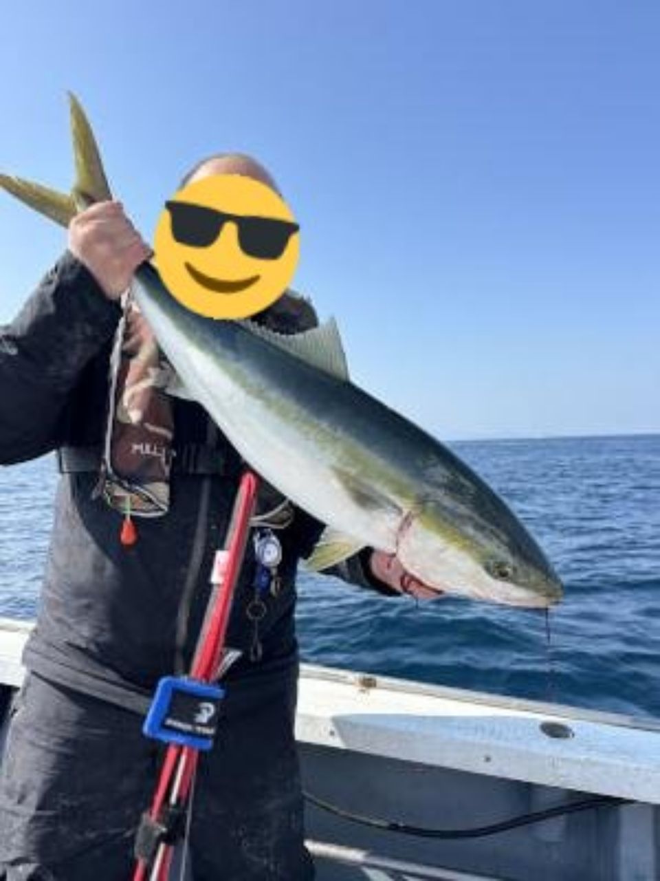 DAIWA 17レオブリッツ S500Jの最安値・インプレ・釣果 | 本音の口コミ