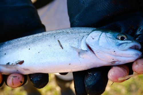 東京湾（アクアライン〜富津）
