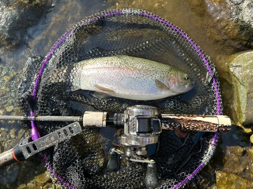 丹沢ヤドリキY.G.L.スポーツフィッシングエリア