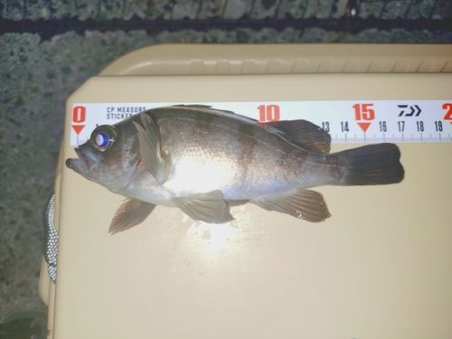 アジュール舞子