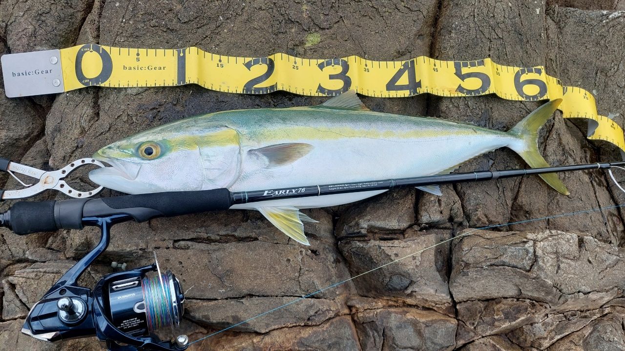 YAMAGA Blanks アーリー・フォーモバイル 76MMHの最安値・インプレ
