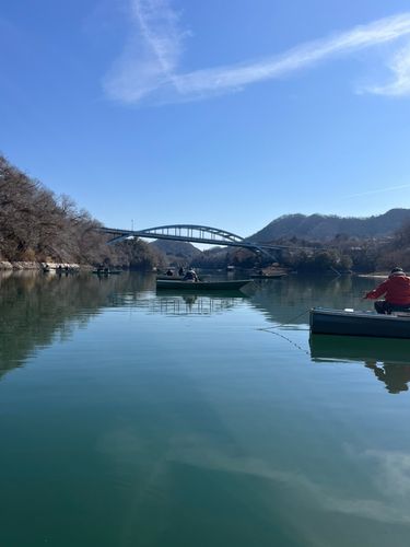 ワカサギの釣果