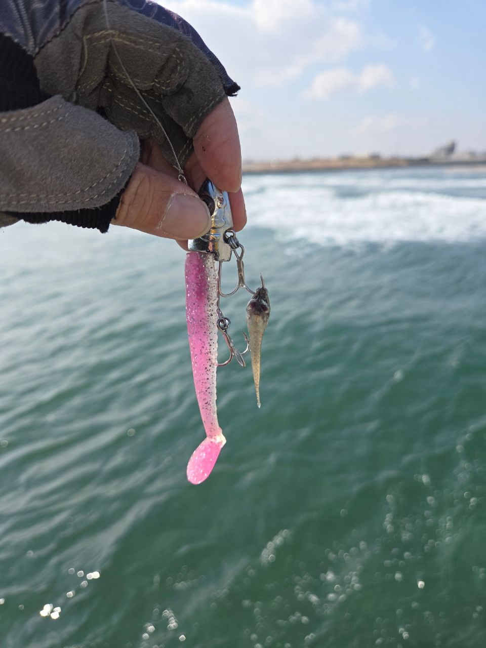 SHIMANO ネッサ BB S1002Mの最安値・インプレ・釣果 | 本音の口コミが