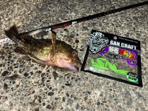 東京湾（富津〜金谷）