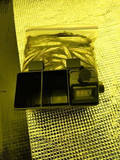 ワカサギの釣果