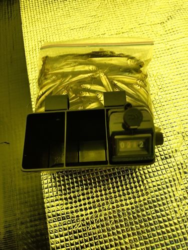 ワカサギの釣果