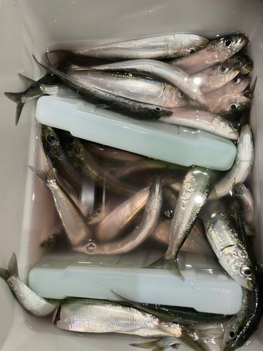 用宗広野海岸公園