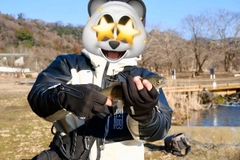 ニジマスの釣果