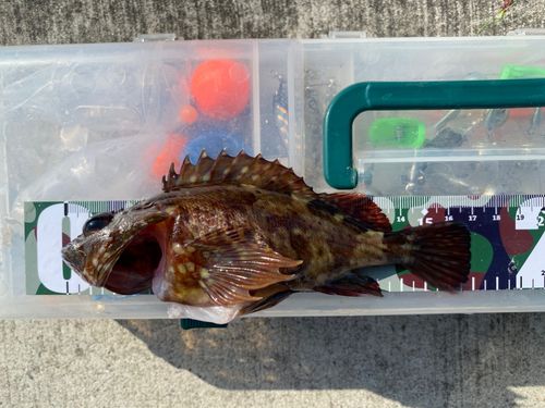 金沢水際線緑地（福浦岸壁）