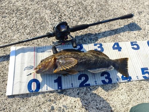 三陸海岸（宮城）