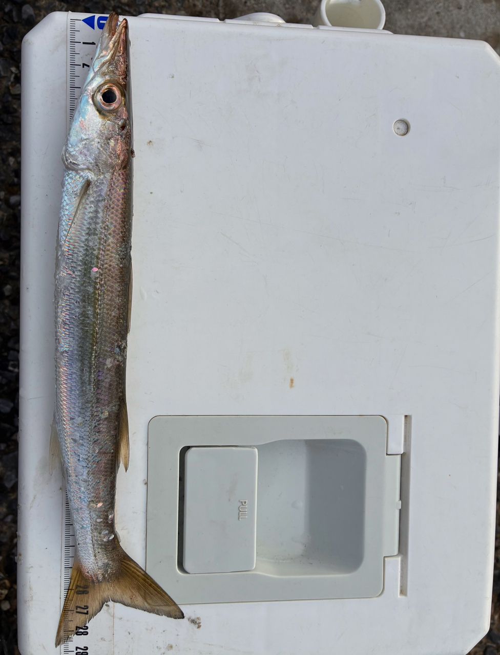 TENRYU ルナキア LK6102S-MLTの最安値・インプレ・釣果 | 本音の口コミ