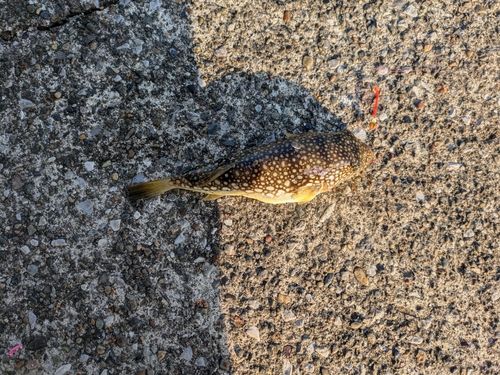 うみかぜ公園付近