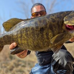 スモールマウスバス