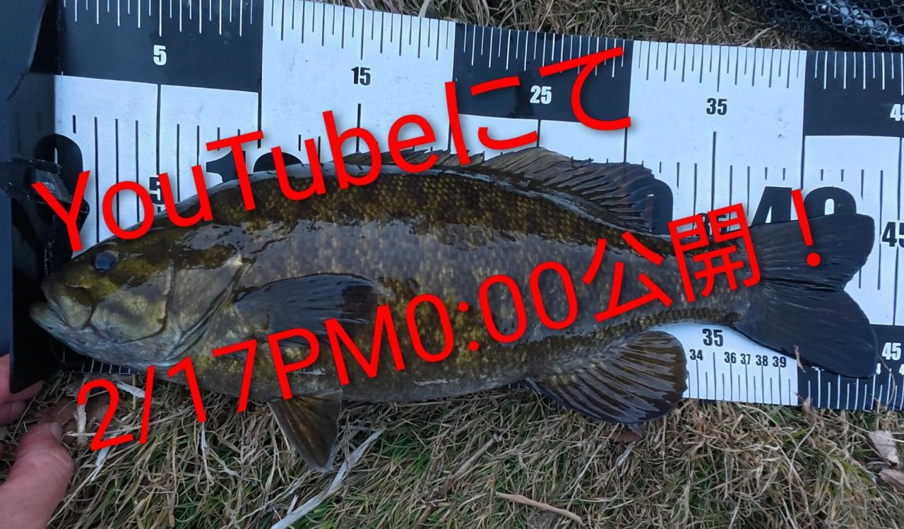 スモールマウスバス