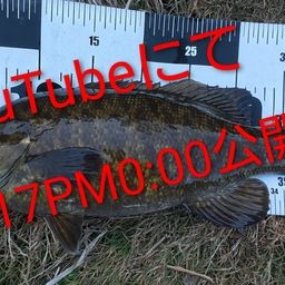 スモールマウスバス