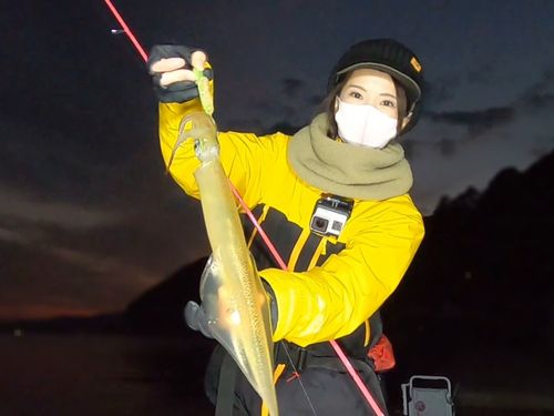 ヤリイカの釣果