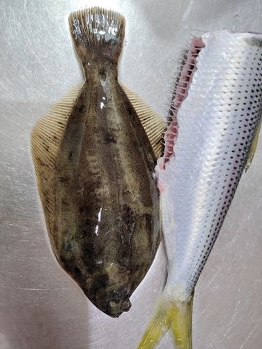 本牧海づり施設