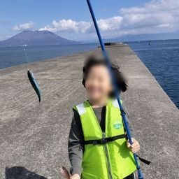 トウゴロウイワシ