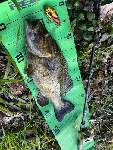 海老名運動公園