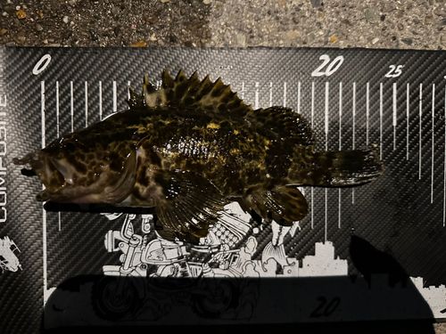 新舞子マリンパーク