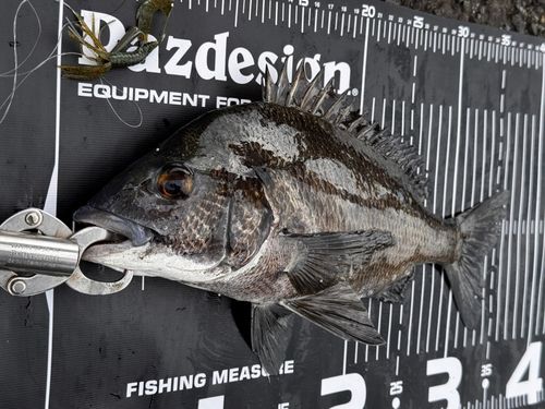 大村湾（南部）