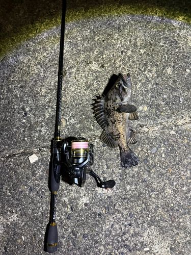 三陸海岸（岩手）