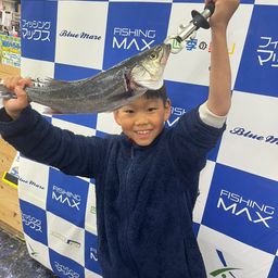 ハネ（マルスズキ）