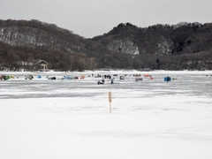 ワカサギの釣果