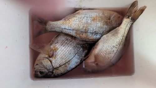 三陸海岸（宮城）