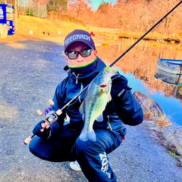 ラージマウスバス