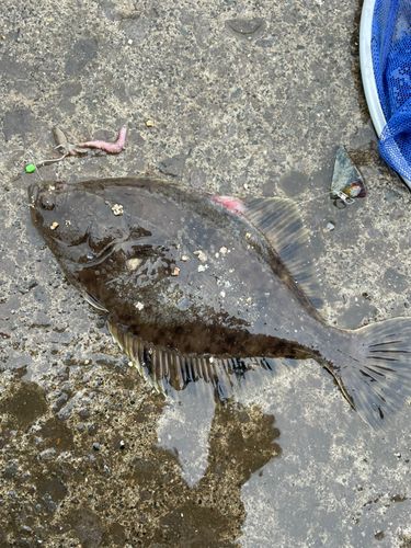 小樽港厩町岸壁