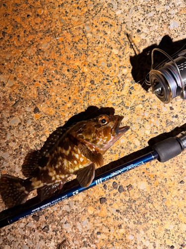 東京湾（アクアライン〜富津）